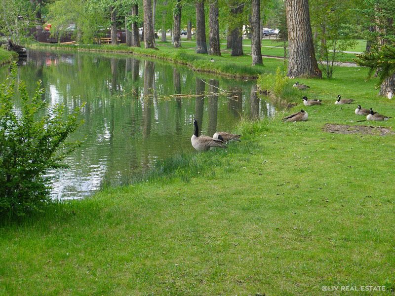 Scenic Acres Homes for Sale in Northwest Calgary Liv Real Estate